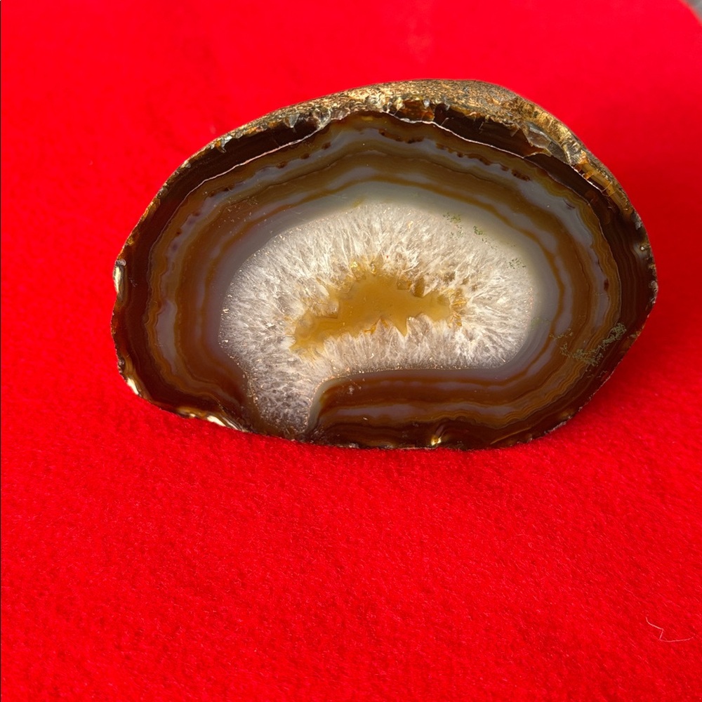 Natural Agate Geode Slice - Brown and Cream